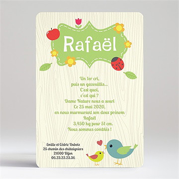 Faire-part naissance bannières en folie - Dos du faire-part