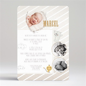 Faire-part naissance on compte avec les animaux - Dos du faire-part