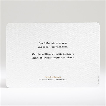 Carte de voeux ambiance d'hiver - Dos du faire-part