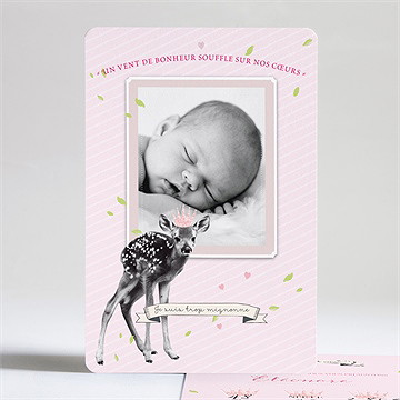 Faire-part naissance joli faon