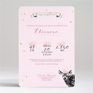 Faire-part naissance joli faon - Dos du faire-part