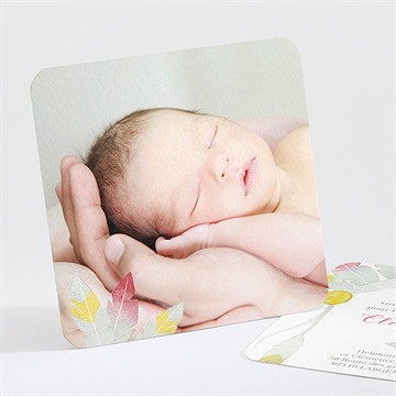 Remerciement naissance ornée de plumes