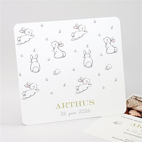 Faire-part naissance lapins en folie!
