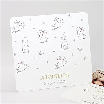 Faire-part naissance lapins en folie!