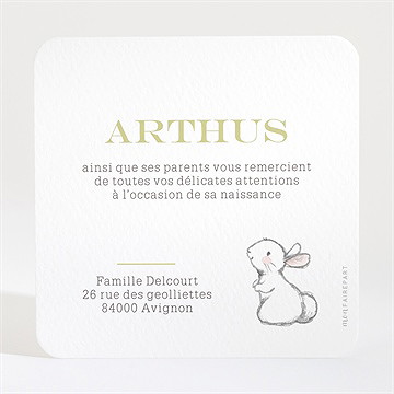 Remerciement naissance lapins en folie! - Dos de la carte