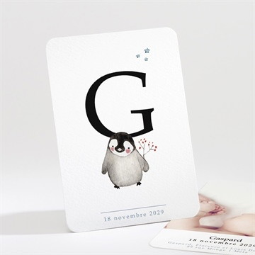 Faire-part naissance pingouin