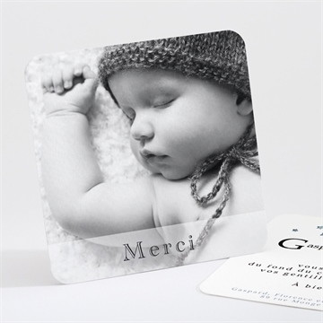 Remerciement naissance pingouin