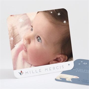 Remerciement naissance compagnons polaires carré plié