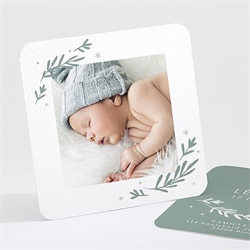 Faire-part naissance végétal vert pastel
