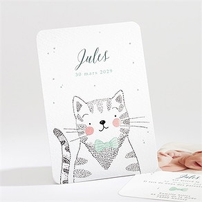 Faire-part naissance mon petit chat