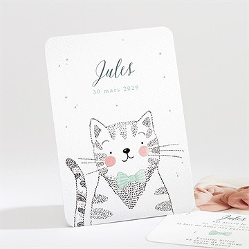 Faire-part naissance mon petit chat