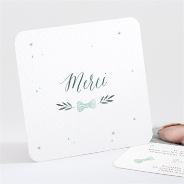 Remerciement naissance mon petit chat