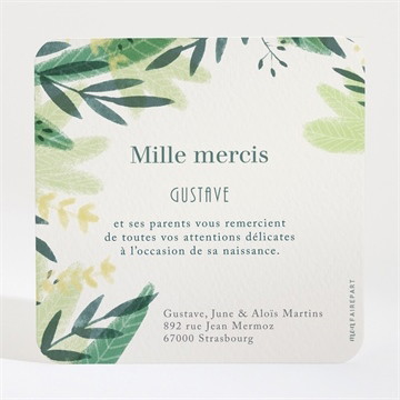 Remerciement naissance annonce tout en végétal