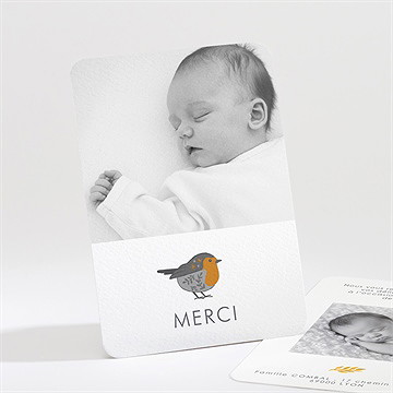 Remerciement naissance subtil rouge gorge