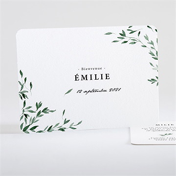 Faire-part naissance les petits coins champêtres