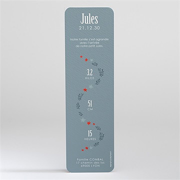 Faire-part naissance composition d'hiver - Dos du faire-part