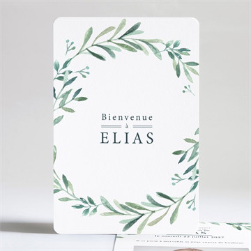 Faire-part naissance aquarelle champêtre photo