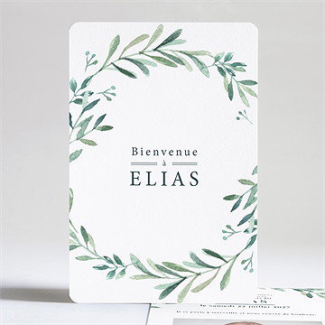 Faire-part naissance aquarelle champêtre photo