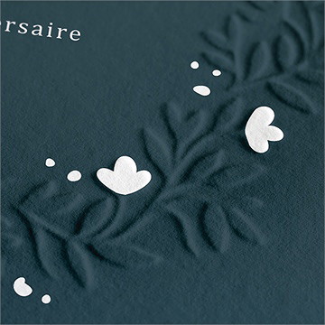 Invitation anniversaire du relief - Détail du faire-part