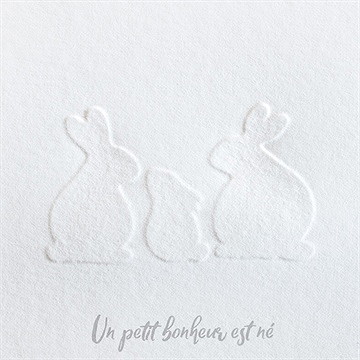 Faire-part naissance silhouettes - Détail du faire-part