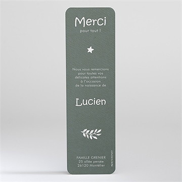 Remerciement naissance joie - Dos du faire-part