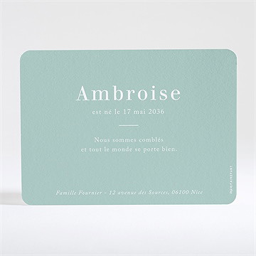 Faire-part naissance son petit nid - Dos du faire-part