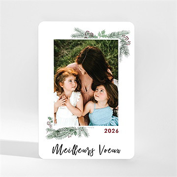 Carte de voeux nos meilleurs voeux