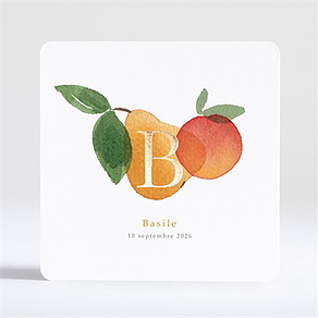 Faire-part naissance fruité