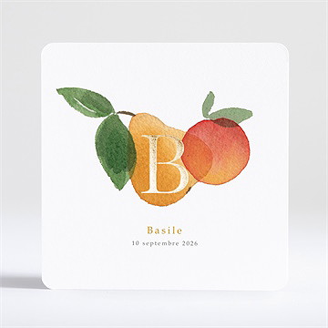 Faire-part naissance fruité