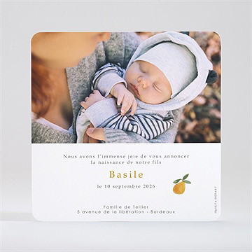 Faire-part naissance fruité - Dos du faire-part