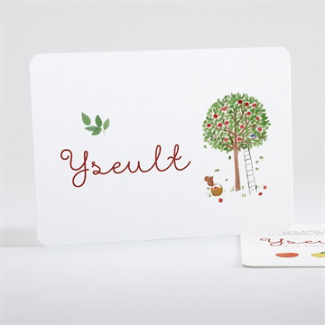 Faire-part naissance comme 3 pommes