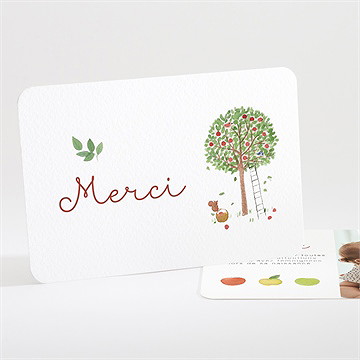 Remerciement naissance comme 3 pommes