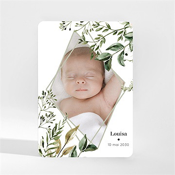 Faire-part naissance nid d'aquarelle