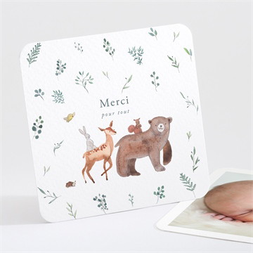 Remerciement naissance la joyeuse bande