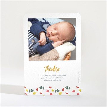 Remerciement naissance lion petit roi