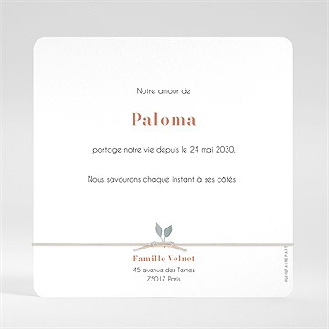 Faire-part naissance dans sa bulle - Dos du faire-part