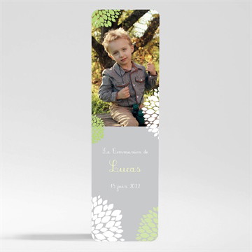 Signet communion cadre gris et lumière