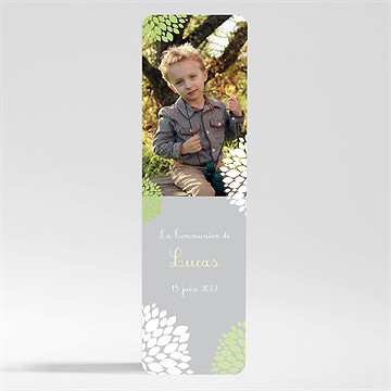 Signet communion cadre gris et lumière