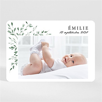 Faire-part naissance coins champêtres magnet