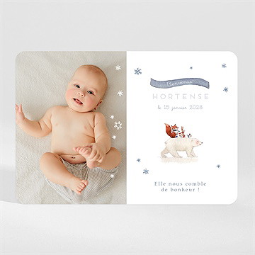 Faire-part naissance compagnons polaires magnet