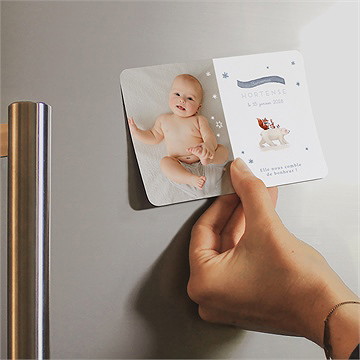 Faire-part naissance compagnons polaires magnet - Mise en situation