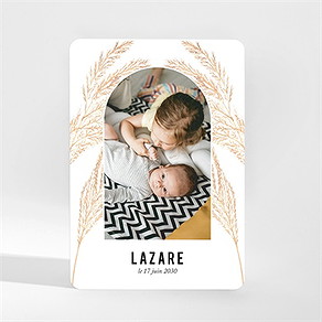 Faire-part naissance belle alcôve magnet