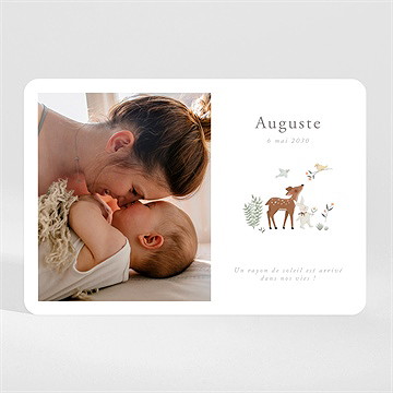 Faire-part naissance petits compères magnet