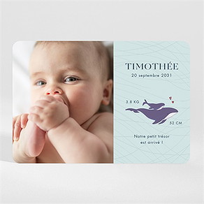 Faire-part naissance mon petit baleineau magnet