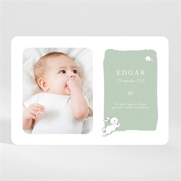 Faire-part naissance ravissant lapin magnet