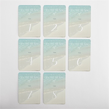 Numéro de table mariage paradis sur plage - Vue d'ensemble