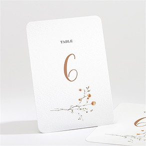 Numéro de table mariage complicité