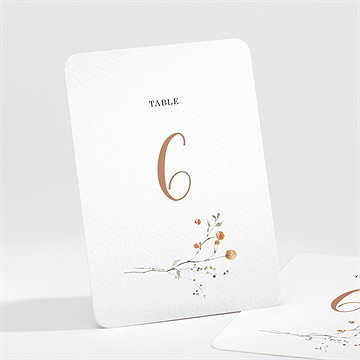 Numéro de table mariage complicité