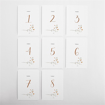 Numéro de table mariage complicité - Vue d'ensemble