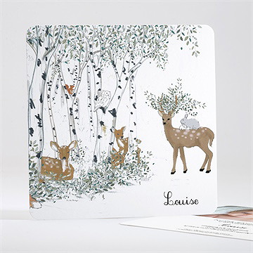 Faire-part naissance ma petite clairière carré